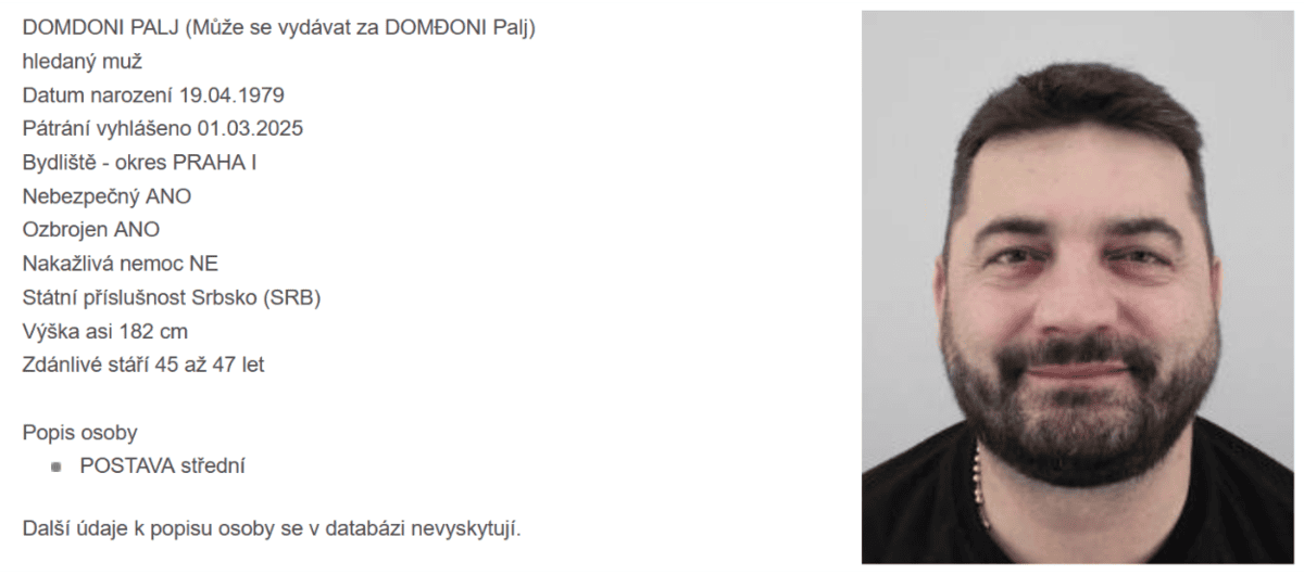 Domdoni Palj