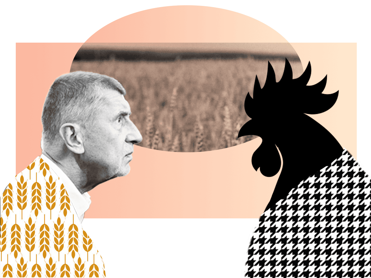 Agrofert kupoval ukrajinské obiloviny, zatímco Babiš tvrdil, že jsou kontaminované