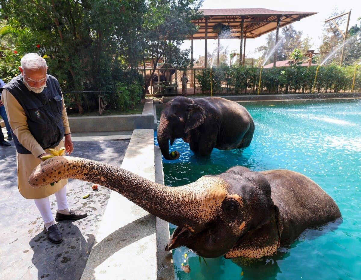 Indická zoo Vantara čelí vyšetřování. Tisíce zvířat tam poslal český obchodník