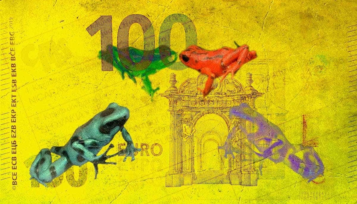 Žabí mafie dovážela na Slovensko ohrožené druhy obojživelníků za miliony