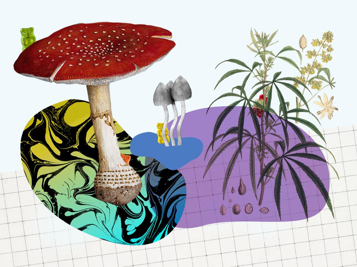 Když vám zavolá klon: Anatomie miliardového byznysu s AI podvody