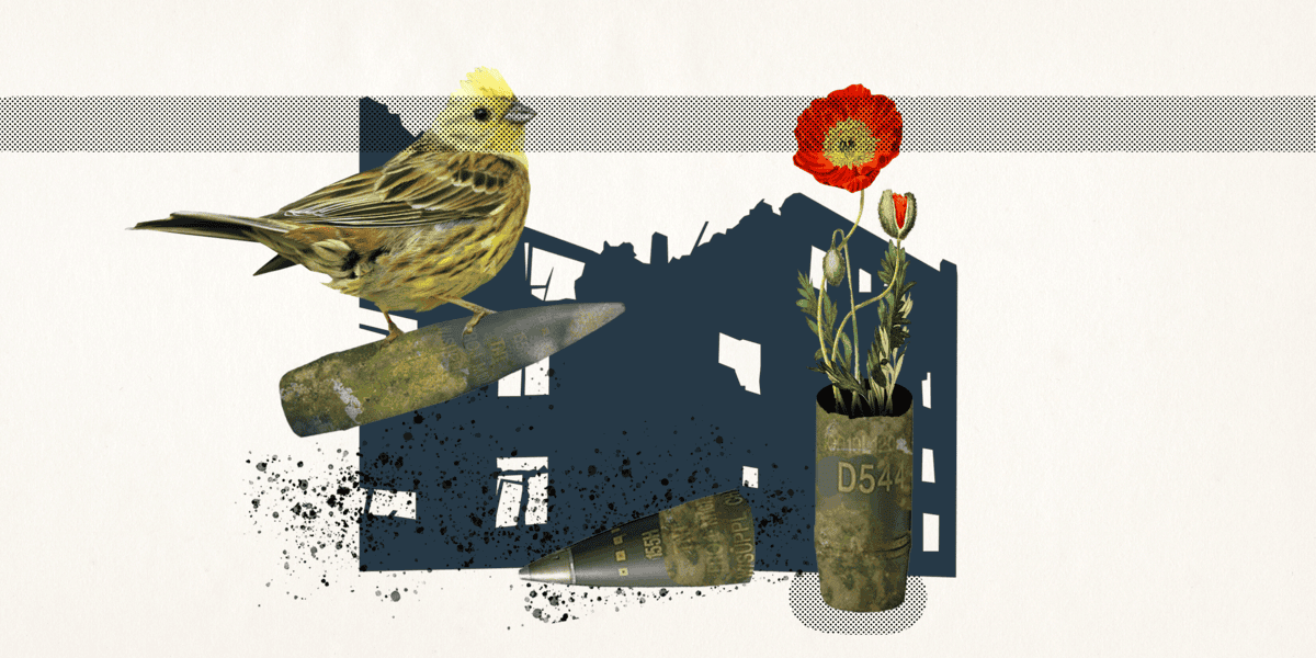 Pochybnosti i uznání. Česká muniční iniciativa čelí kritice, Ukrajině ale pomáhá