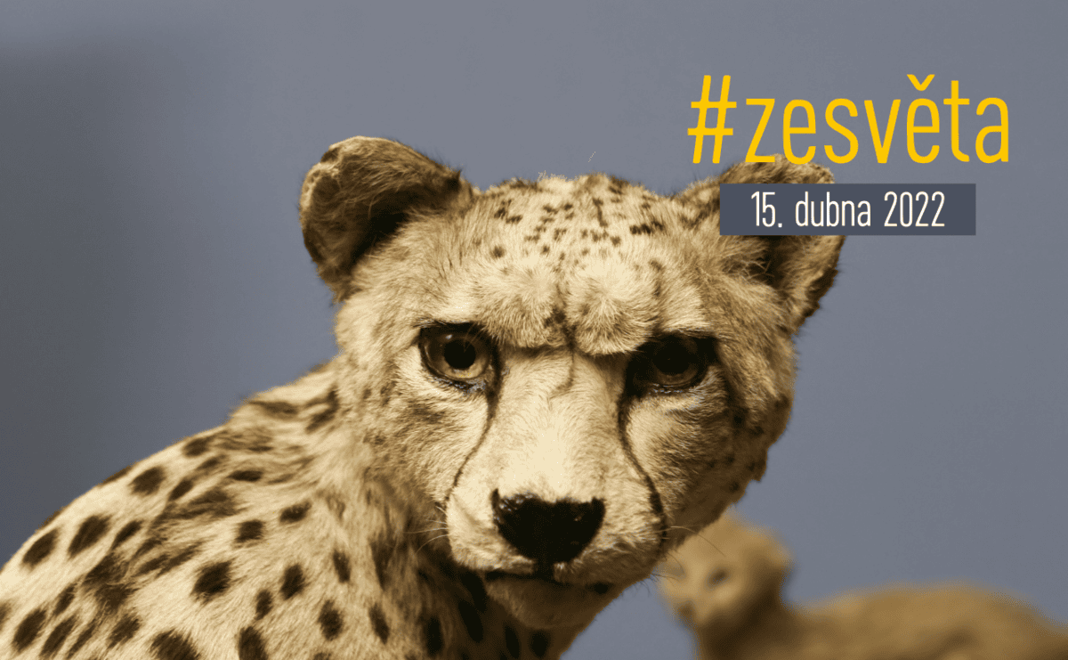 #zesvěta: Sankcionovaní balkánští politici